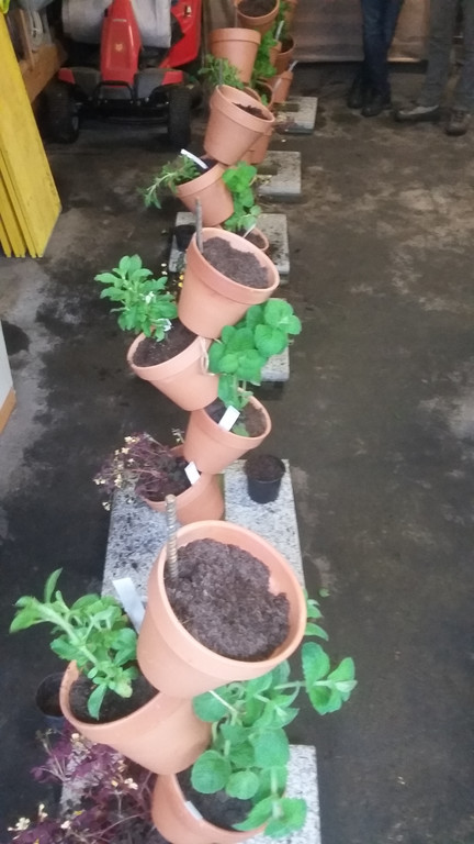 20160514_093441.jpg