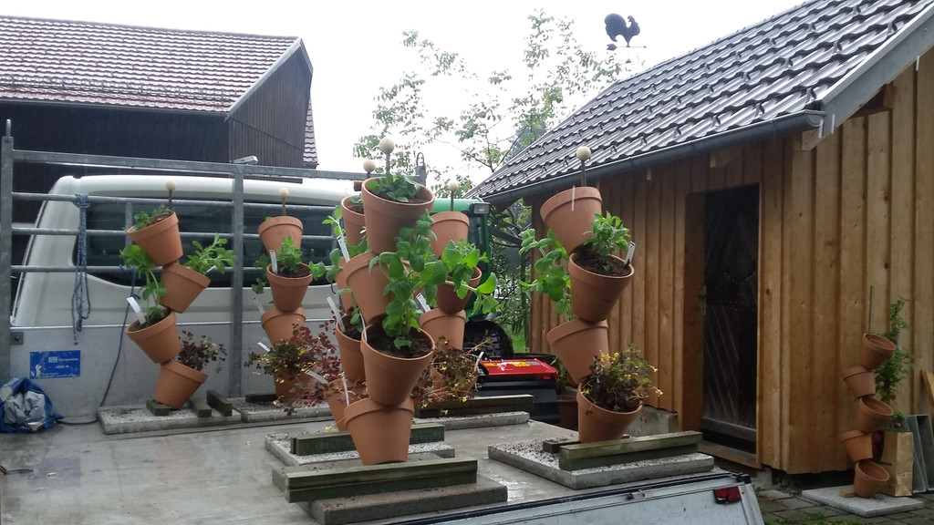 20160514_100143.jpg