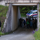 IMG_8736.JPG