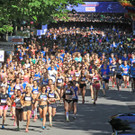 Start ELITE OEFL 2016.jpg