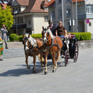 DSC_0028.JPG