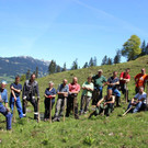 AlpeSpora1.jpg