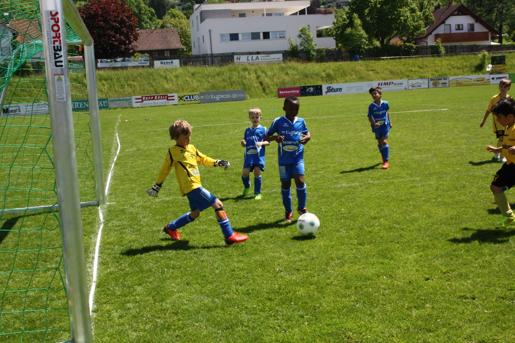 Fu__ball Nachwuchs Turnier U 7 in Lochau 22-05-2016 _5_.JPG