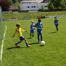 Fu__ball Nachwuchs Turnier U 7 in Lochau 22-05-2016 _5_.JPG