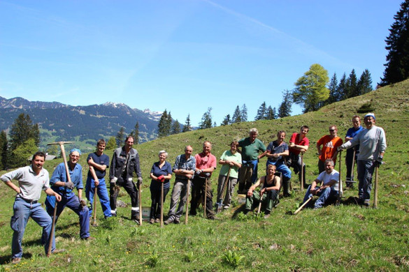 AlpeSpora1.jpg
