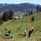 AlpeSpora7.jpg