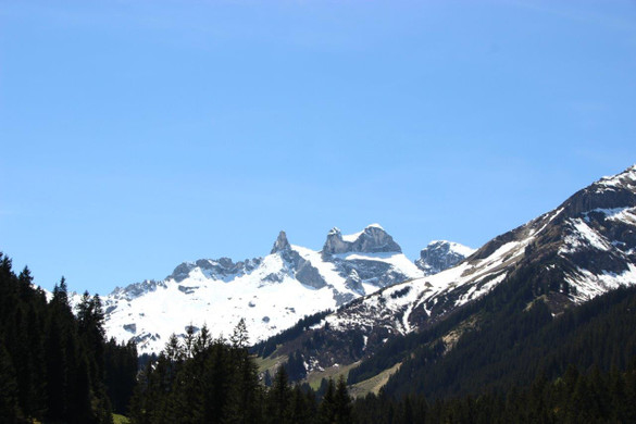 AlpeSpora9.jpg