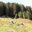 AlpeSpora11.jpg