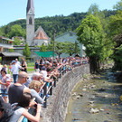 Enten 10.jpg