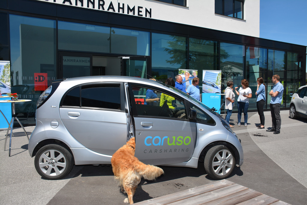 Caruso hund 1 _1 von 1_.jpg