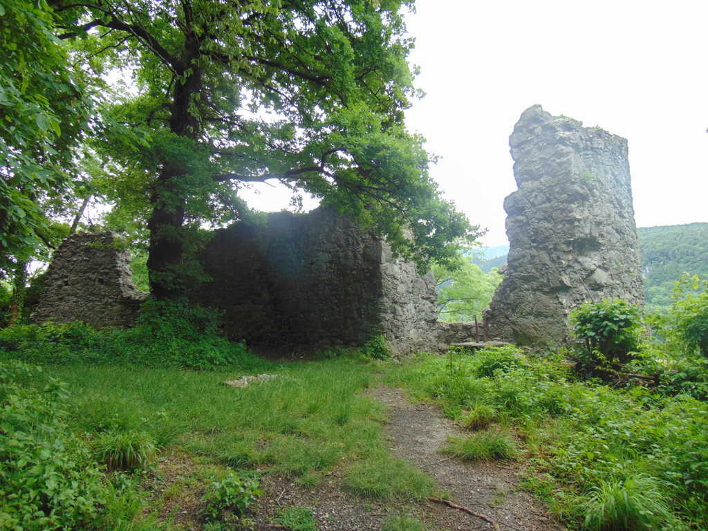 DSC02366.JPG