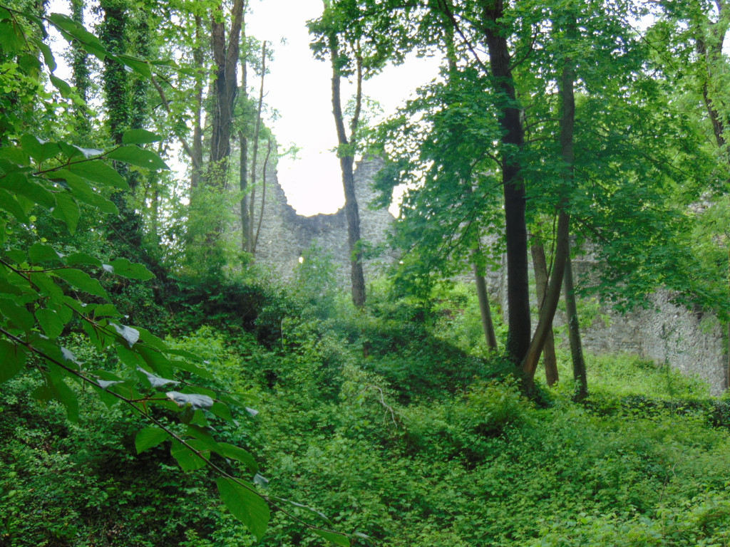 DSC02367.JPG