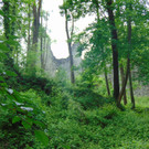 DSC02367.JPG