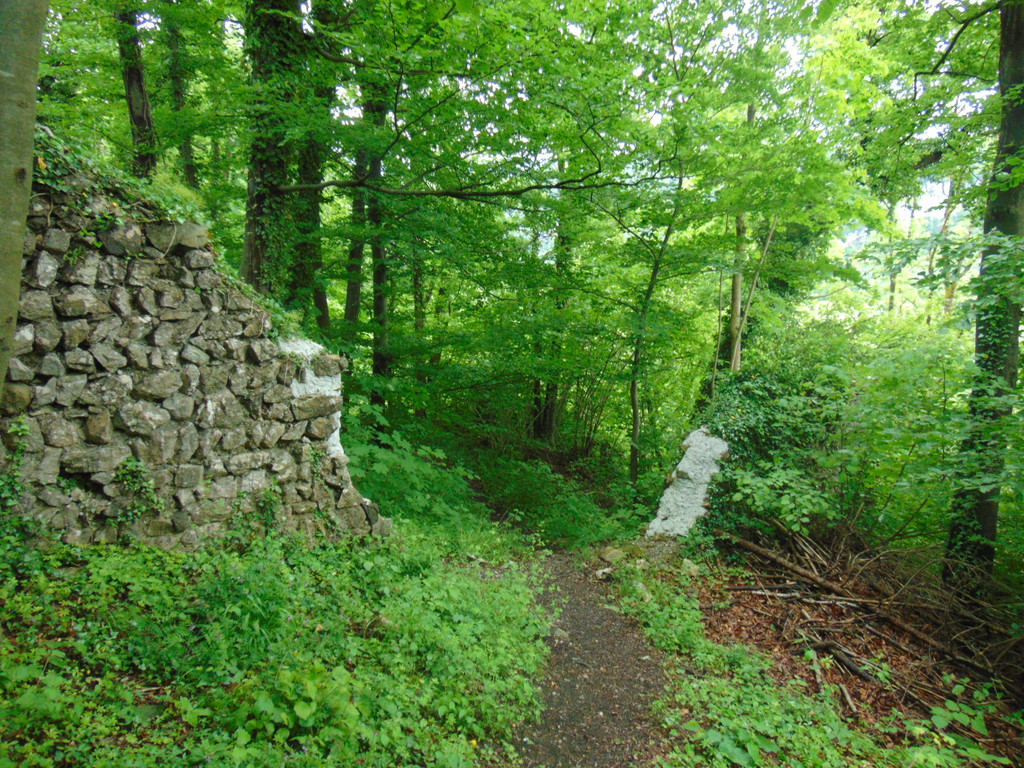 DSC02368.JPG