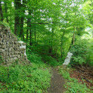 DSC02368.JPG