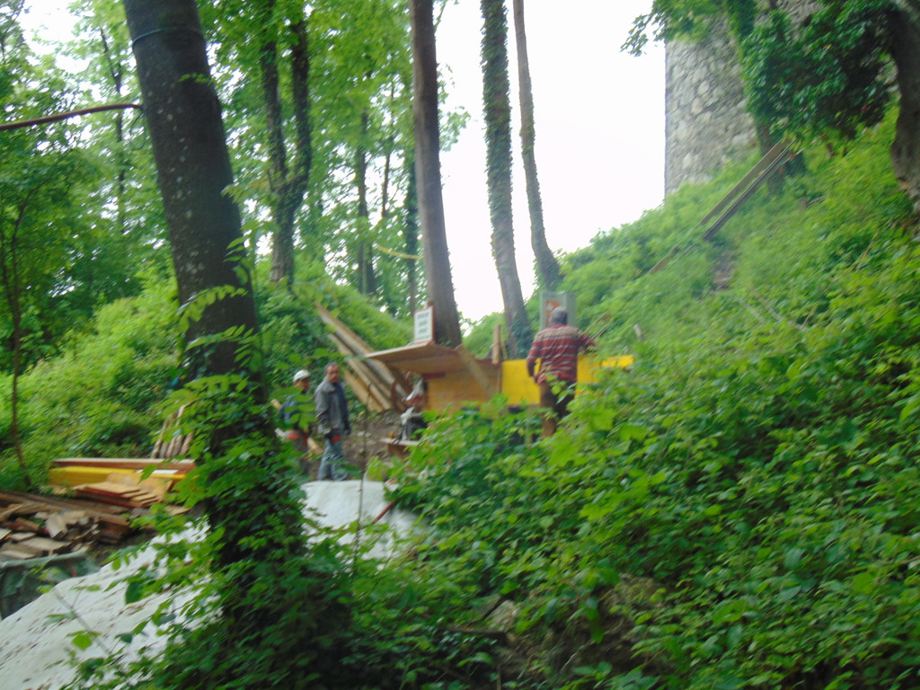 DSC02374.JPG