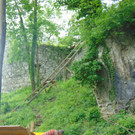 DSC02375.JPG