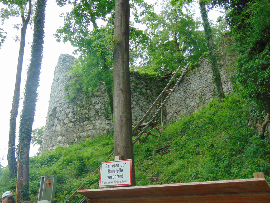 DSC02379.JPG