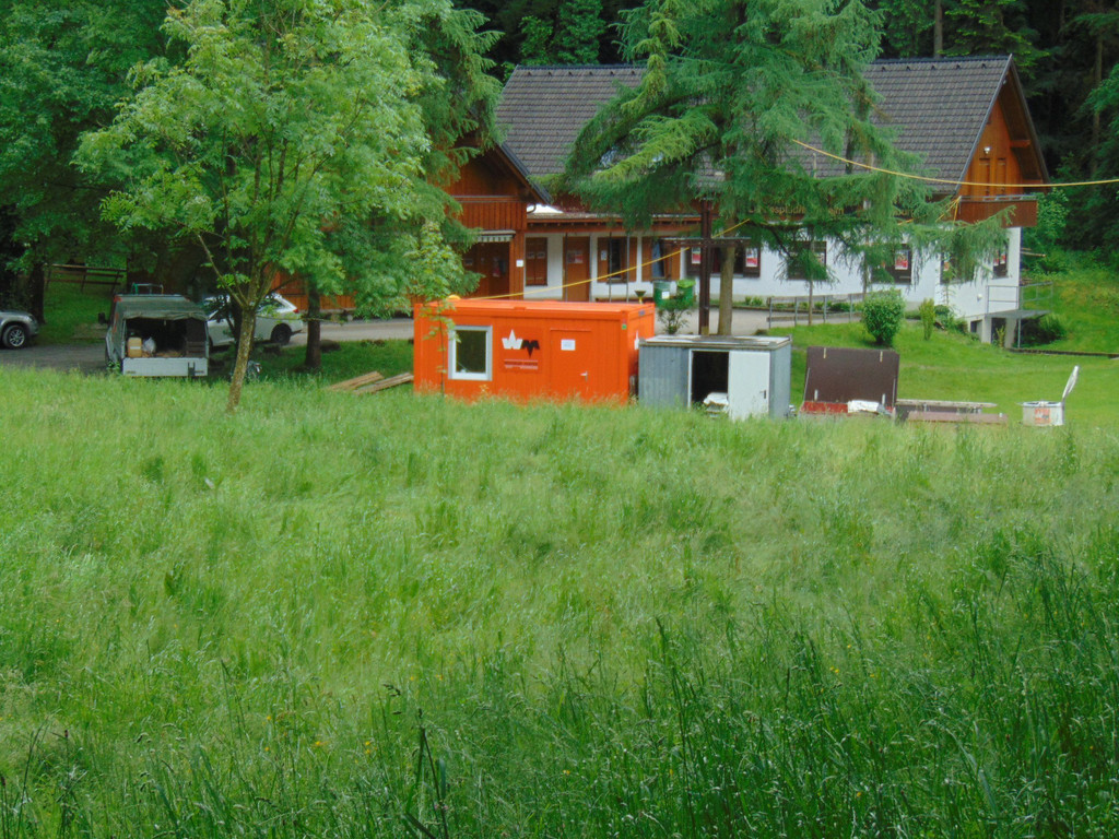 DSC02381.JPG