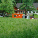 DSC02381.JPG