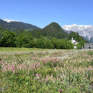Kaiserwetter am 25. Mai 2016
