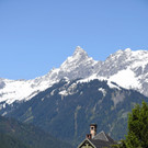 DSC_4930 Kopie_bearbeitet-1.jpg
