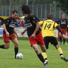 Viktoria - Hoechst 010 246_jpg-1276978772