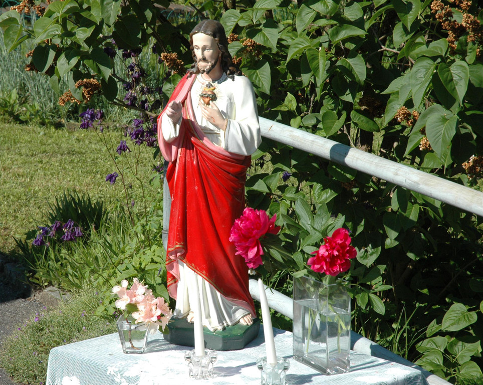 DSC_8014.JPG
