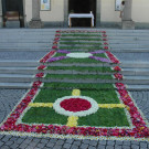 DSC_8076.JPG