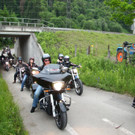 IMG_8911.JPG