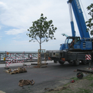 Landungssteg Kaiserstrand NEU _16__jpg-1277023950