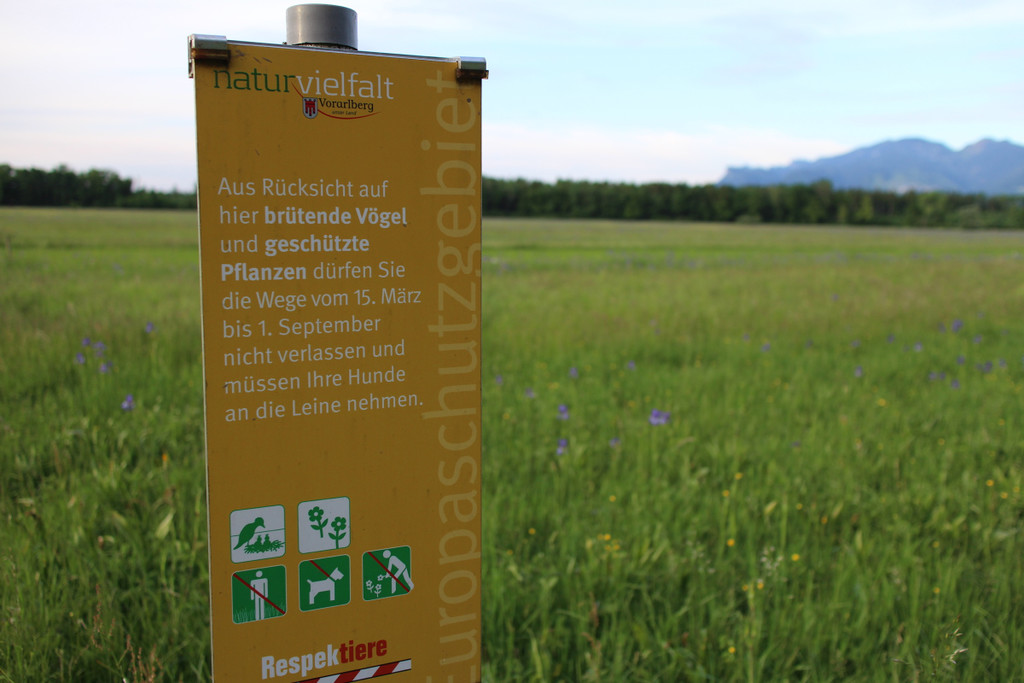 KOE_Unterried Spaziergang Bangs 1.jpg