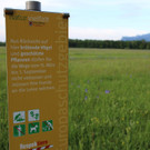Spaziergang im Unterried
