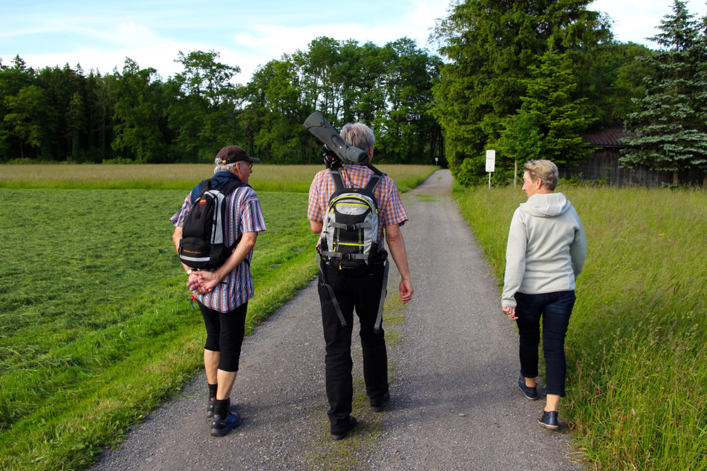 KOE_Unterried Spaziergang Bangs 2.jpg