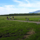 KOE_Unterried Spaziergang Bangs 9.jpg