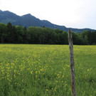 KOE_Unterried Spaziergang Bangs 21.jpg