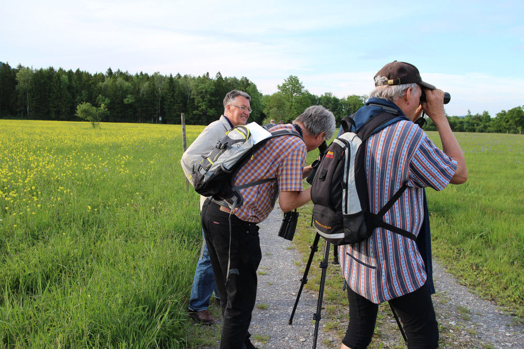 KOE_Unterried Spaziergang Bangs 25.jpg