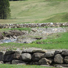 Schönenbach