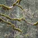 IMG_4793.JPG