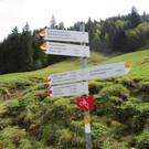 IMG_4800.JPG