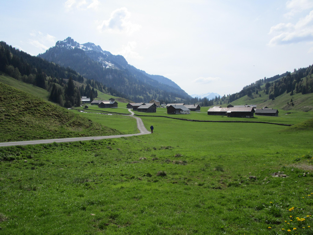 IMG_4806.JPG