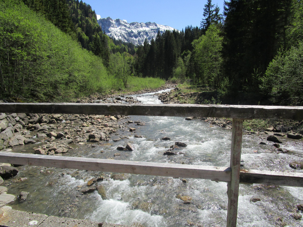 IMG_4844.JPG