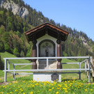 IMG_4869.JPG