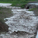 ED_28052016_UNW_Bez ME _6_.jpg