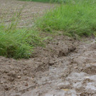 ED_28052016_UNW_Bez NK _6_.jpg