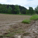 ED_28052016_UNW_Bez NK _7_.jpg