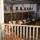 ED_29052016_UNW_Brand  Bez ME _14_.jpg