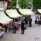 IMG_4227.jpg