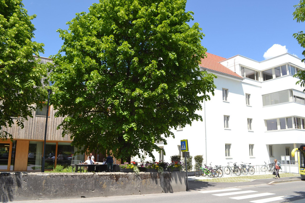 DSC_0019.JPG
