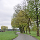 DSC_0068.JPG